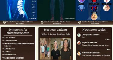 Website Design or web development for spine nerve - organs_Neo design Concepts